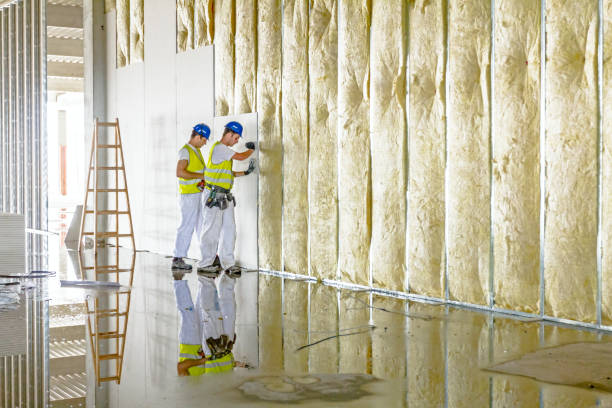 Best Insulation Maintenance and Repair in Sussex, NJ